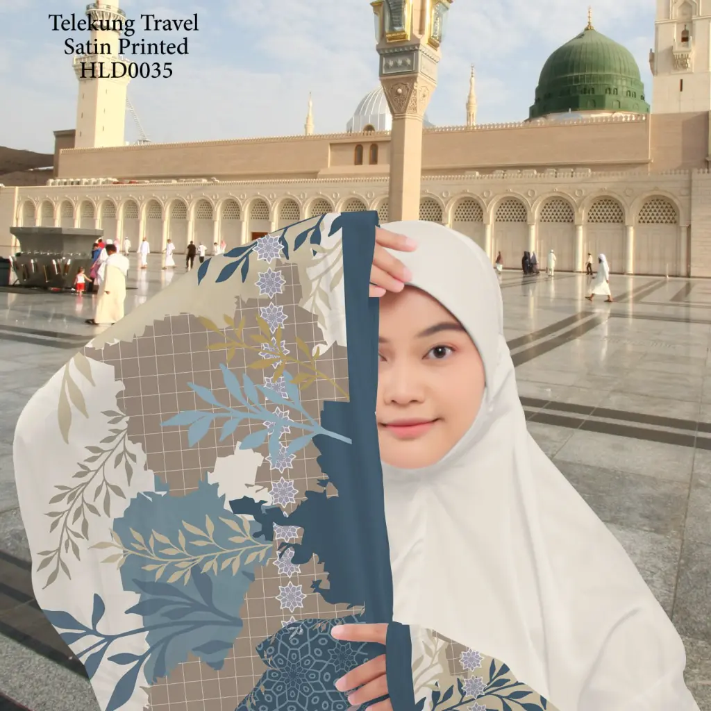 HLD0035 (2).webp